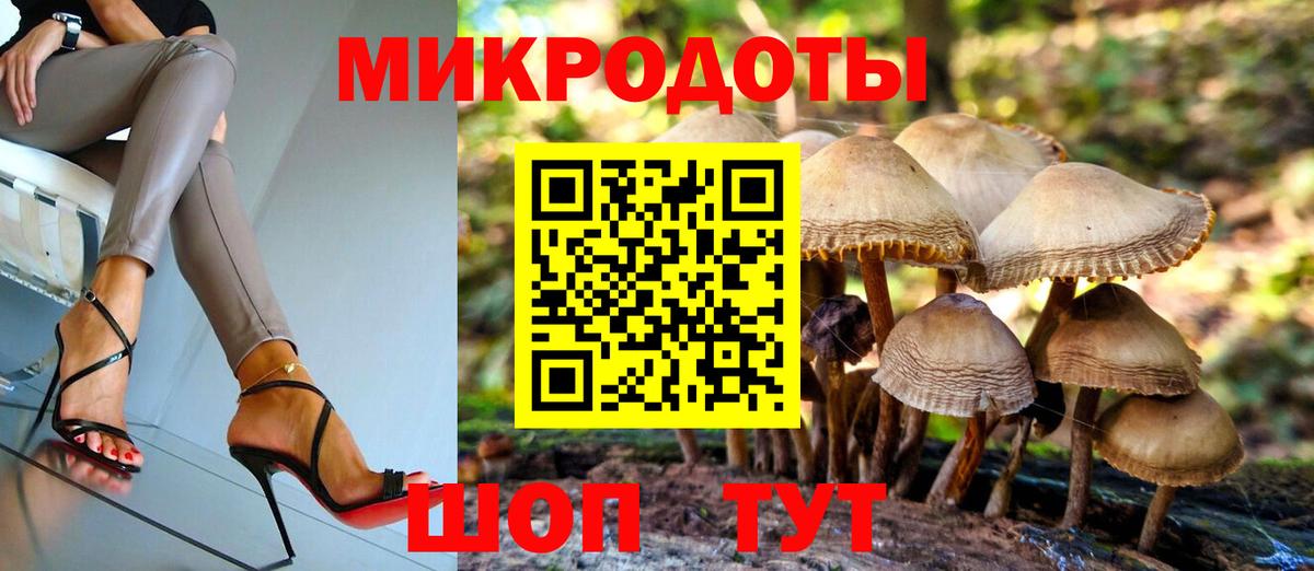 Галлюциногенные грибы ЛСД  Вход с VPN  Михайловск  Галлюциногенные грибы мицелий 
